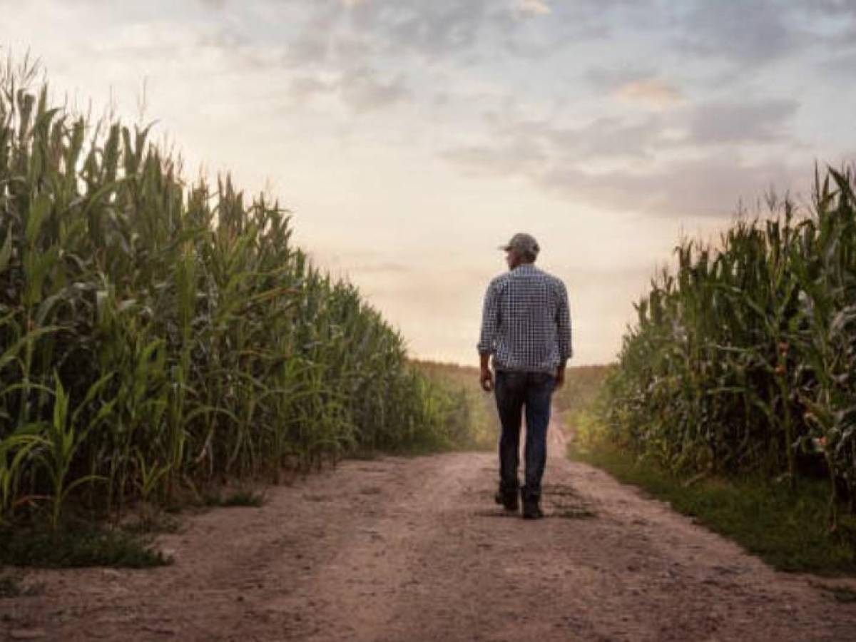 Urgen mayor trabajo colaborativo para potenciar acciones climáticas en agricultura