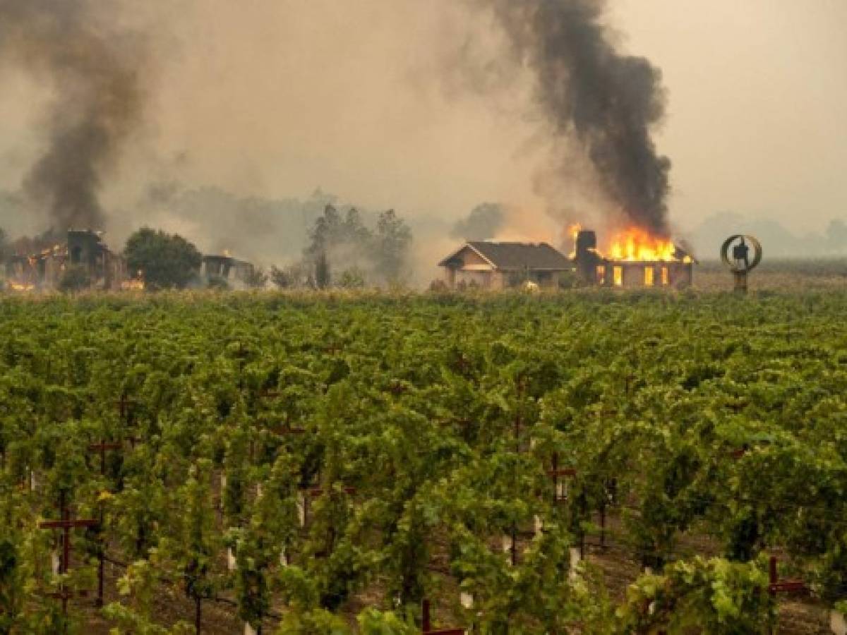 A building is engulfed in flames at a vineyard during the Kincade fire near Geyserville, California on October 24, 2019. - fast-moving wildfire roared through California wine country early Thursday, as authorities warned of the imminent danger of more fires across much of the Golden State. The Kincade fire in Sonoma County kicked up Wednesday night, quickly growing from a blaze of a few hundred acres into an uncontained 10,000-acre (4,000-hectare) inferno, California fire and law enforcement officials said. (Photo by Josh Edelson / AFP)