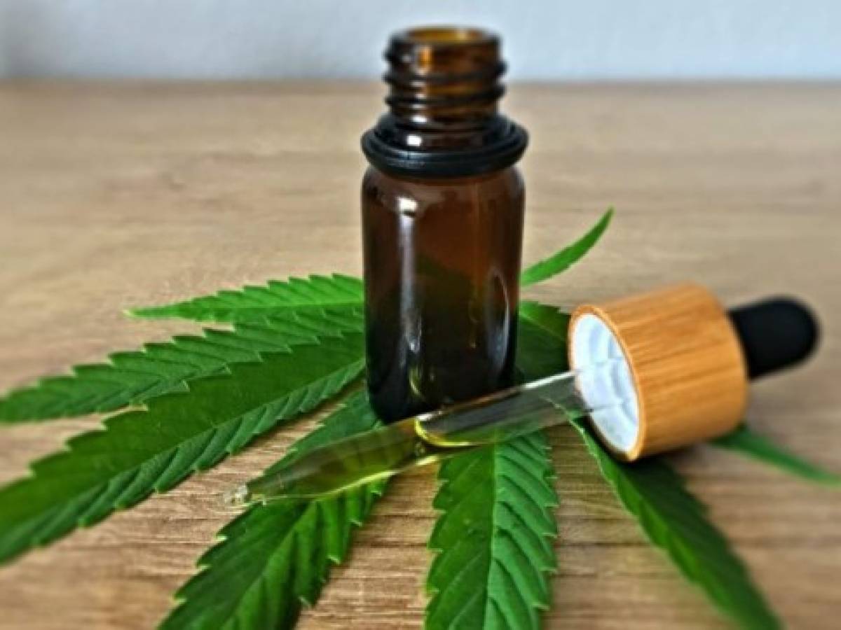 Costa Rica logra la legalización del uso de cannabis medicinal