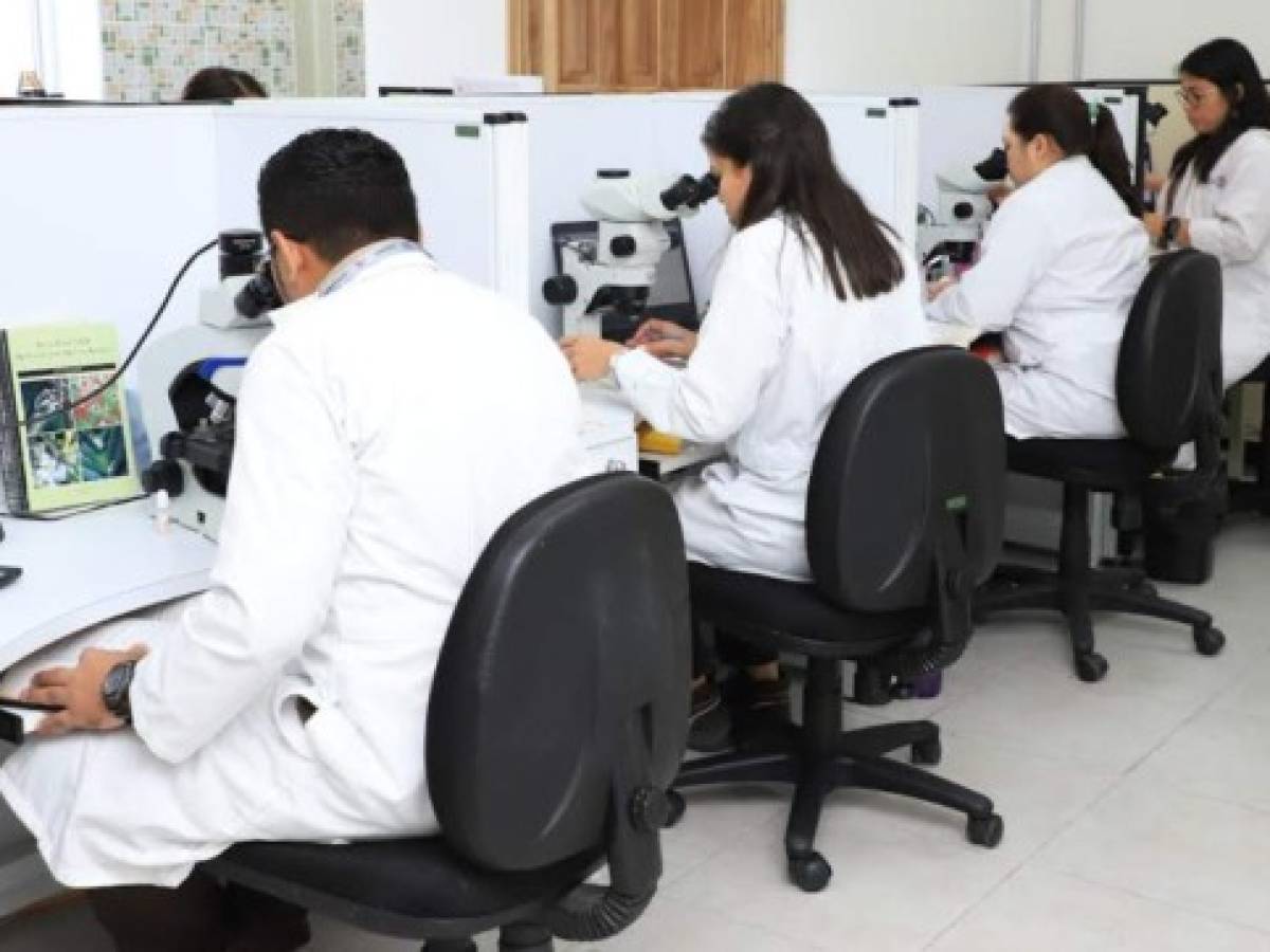 Honduras: OPC inauguró Laboratorio de Diagnóstico Fitosanitario en Puerto Cortés