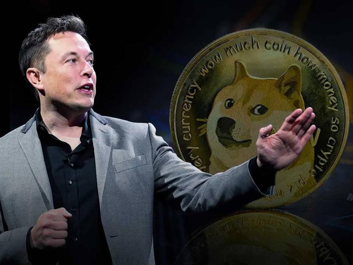 Elon Musk es demandado por US$258.000 millones por promover la criptomoneda dogecoin