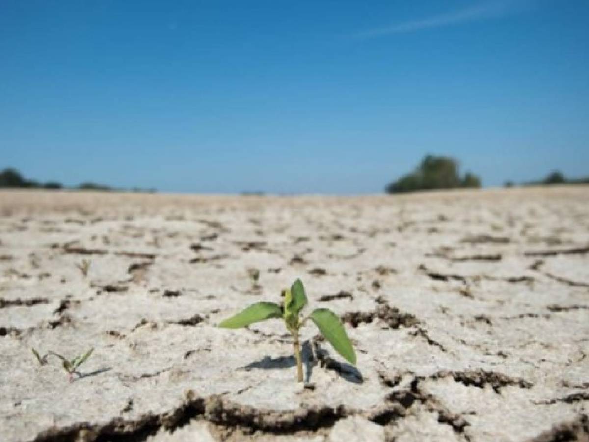 El mundo debe adaptarse a efectos 'inevitables' del calentamiento