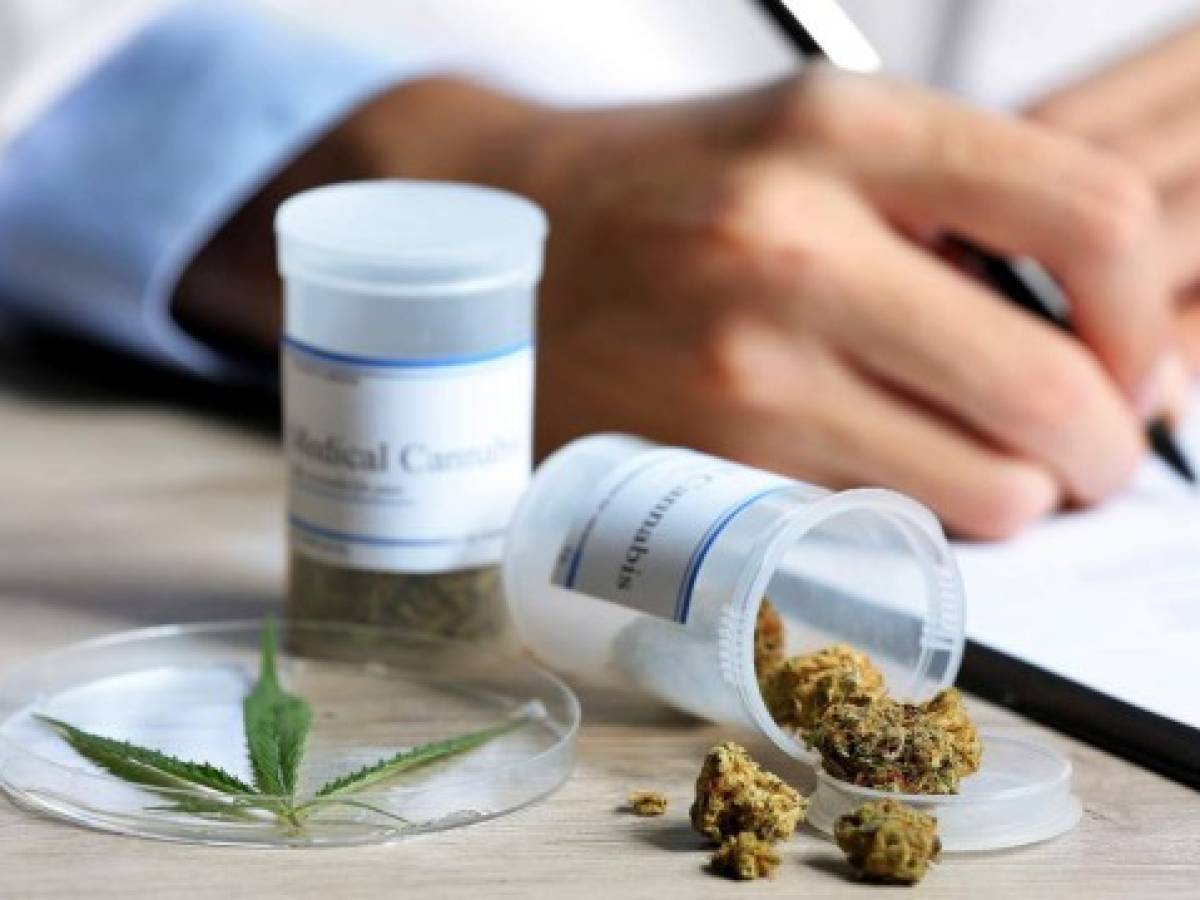 La industria del cannabis medicinal alcanzó los US$170 en Latinoamérica durante 2021