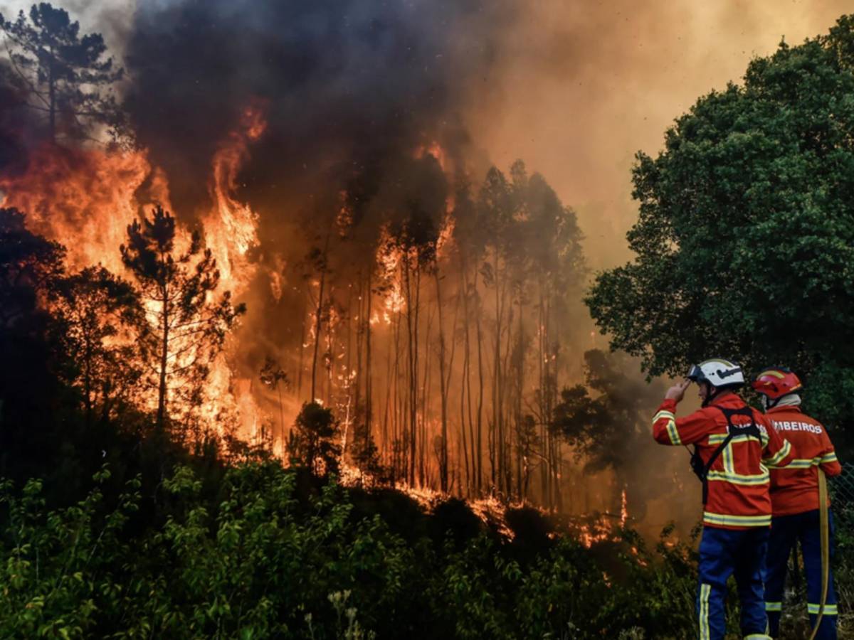 Incendios forestales se duplicaron en todo el mundo en 20 años