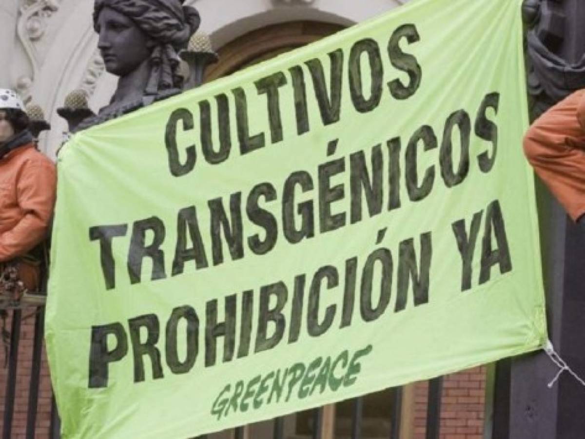 El crimen de Greenpeace