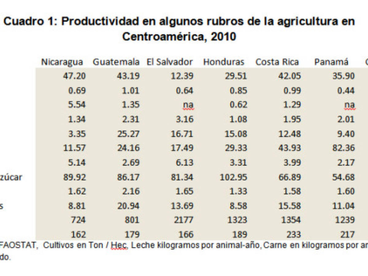 Estrategia de competitividad para la agricultura en Nicaragua