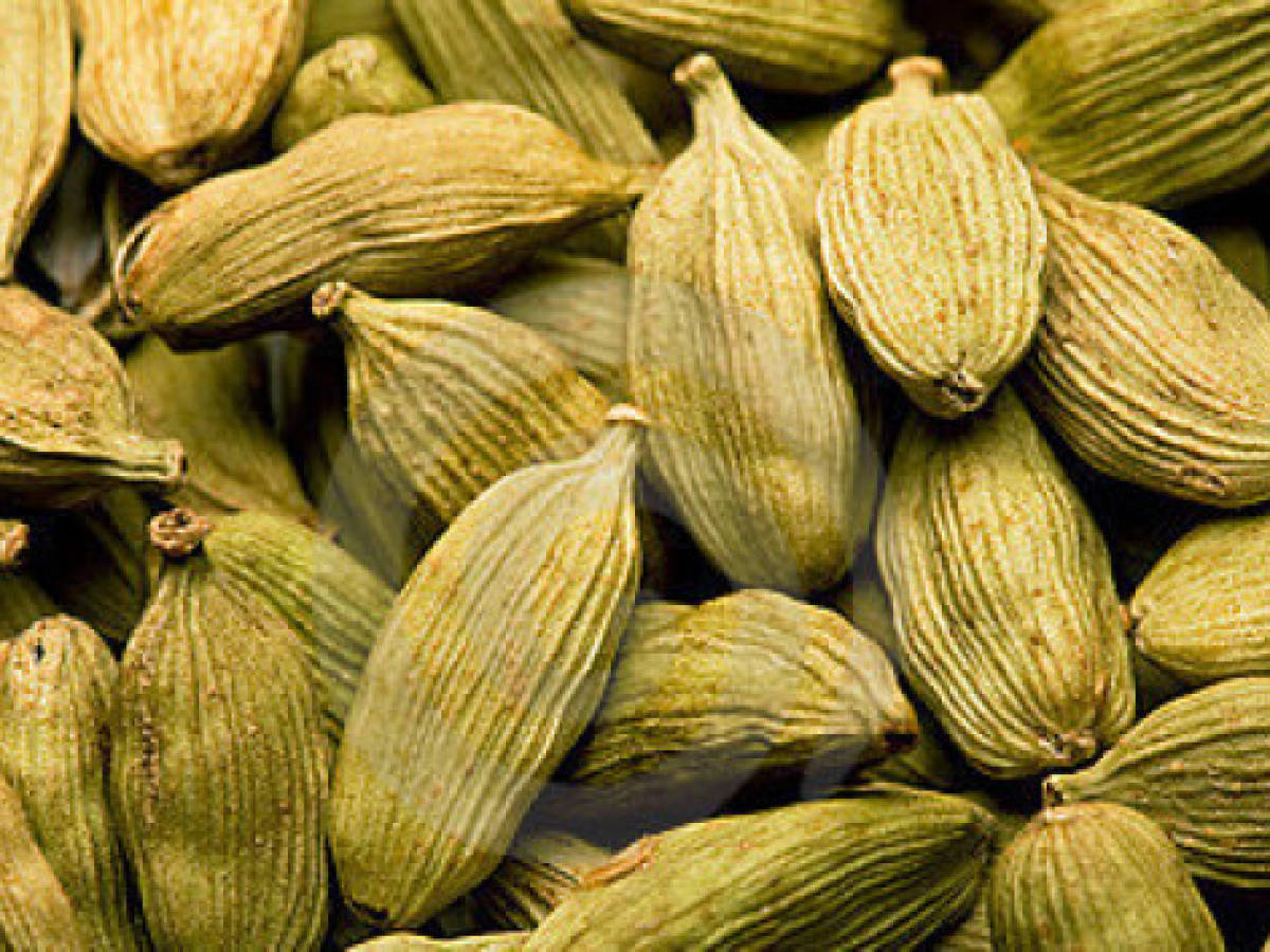 Guatemala: millonarias pérdidas en exportación de cardamomo