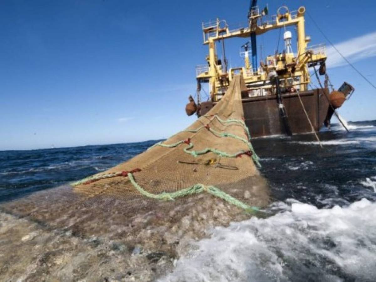 Presidente de Costa Rica veta polémica ley de pesca de arrastre