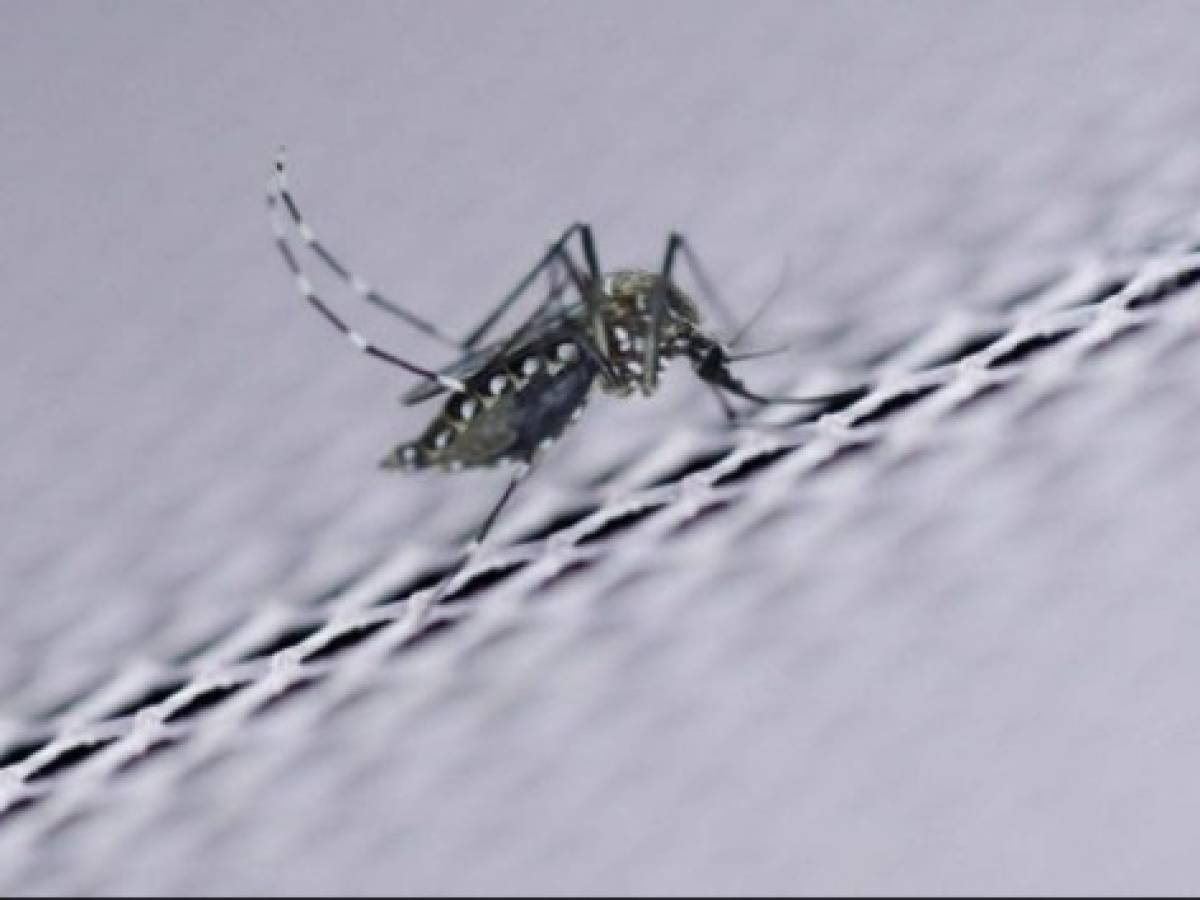 Nicaragua en alerta por repunte en casos de dengue