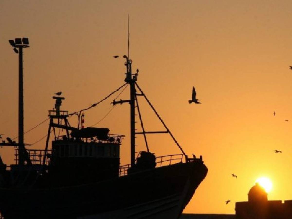 Sector pesquero ‘arponeado’ por bajos precios en 2019