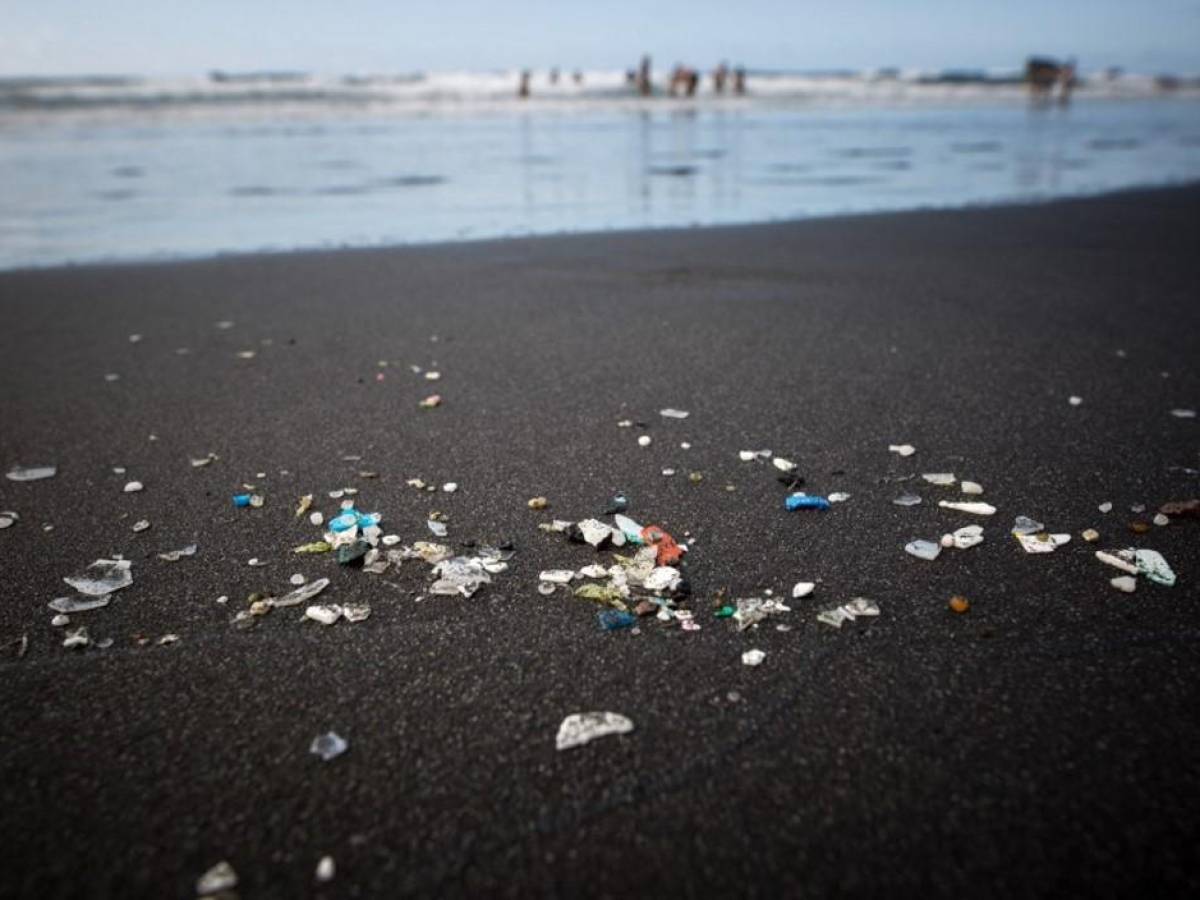 El futuro del planeta en juego: Un llamado urgente a la acción contra la contaminación por plásticos