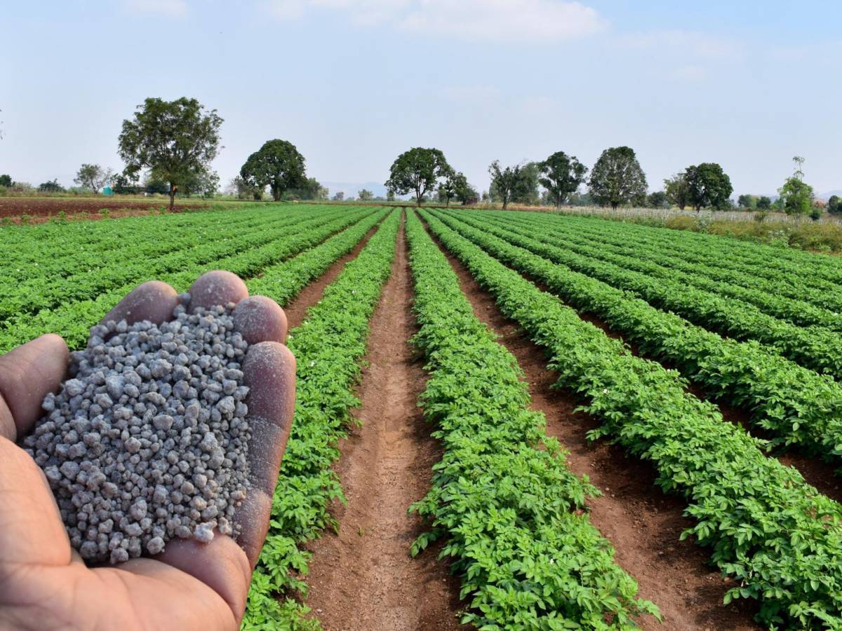 Guerra en Ucrania empuja al alza precio de fertilizantes