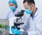 <i>Próspera espera acelerar el crecimiento del ecosistema biotecnológico hondureño y convertir al país en un actor relevante dentro de la industria regional de ciencias de la vida. Foto de iStock</i>