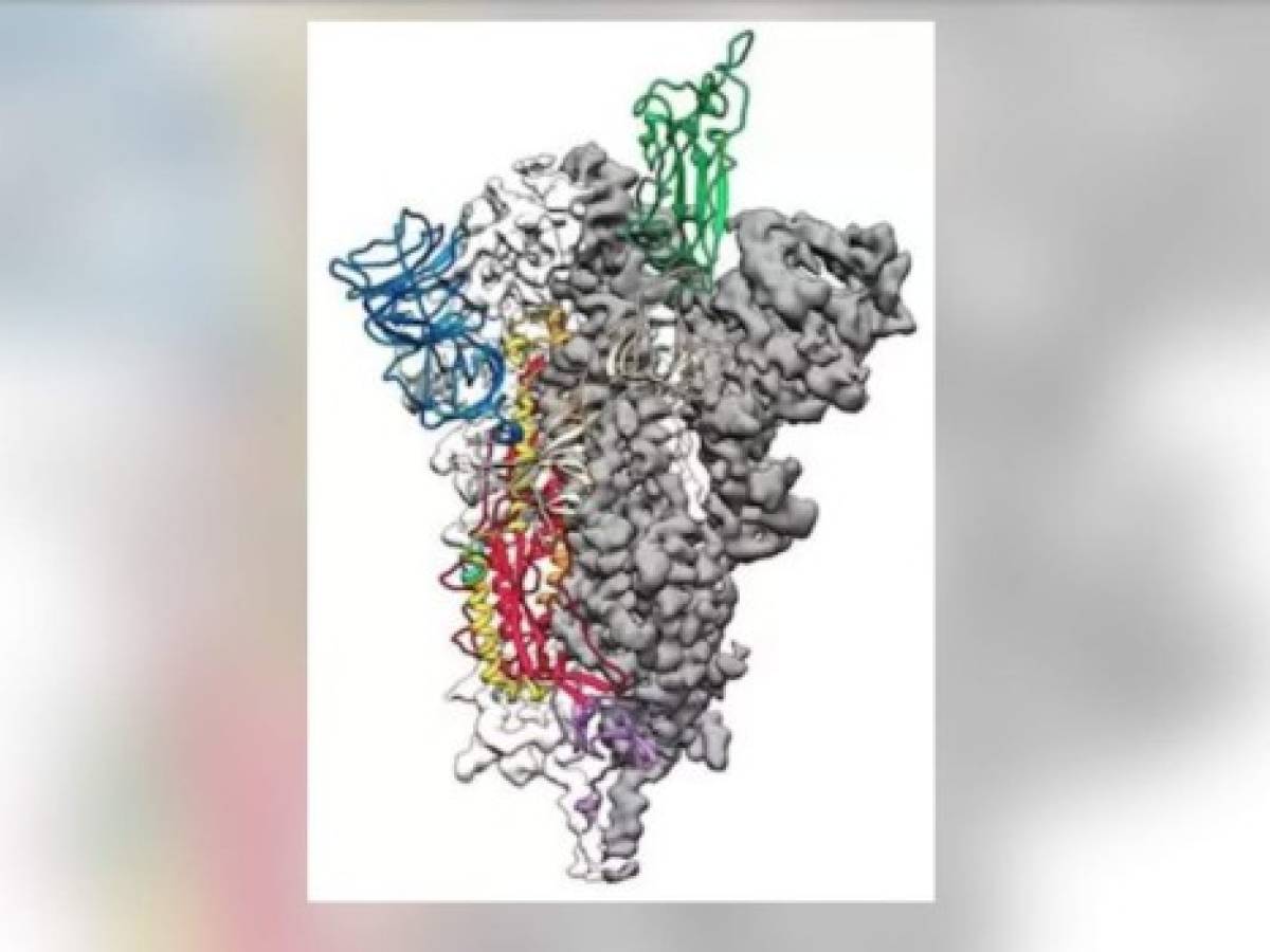 Científicos crean mapa 3D del coronavirus, clave para una vacuna