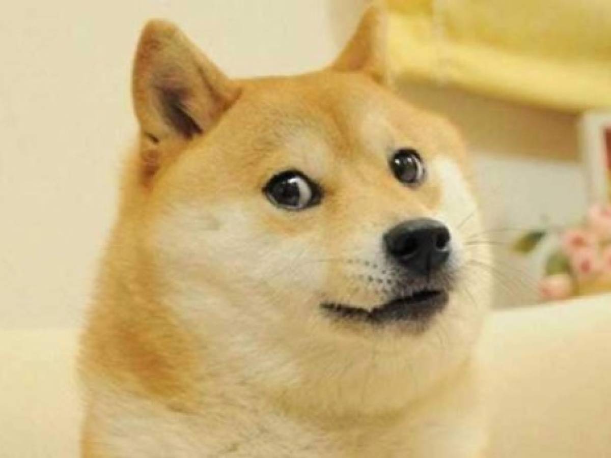 Space X lanzará satélite pagado 100% con dogecoin