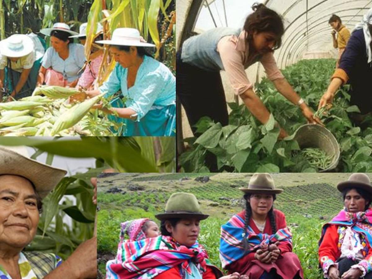 Empoderamiento de las mujeres es clave para la recuperación económica en la región