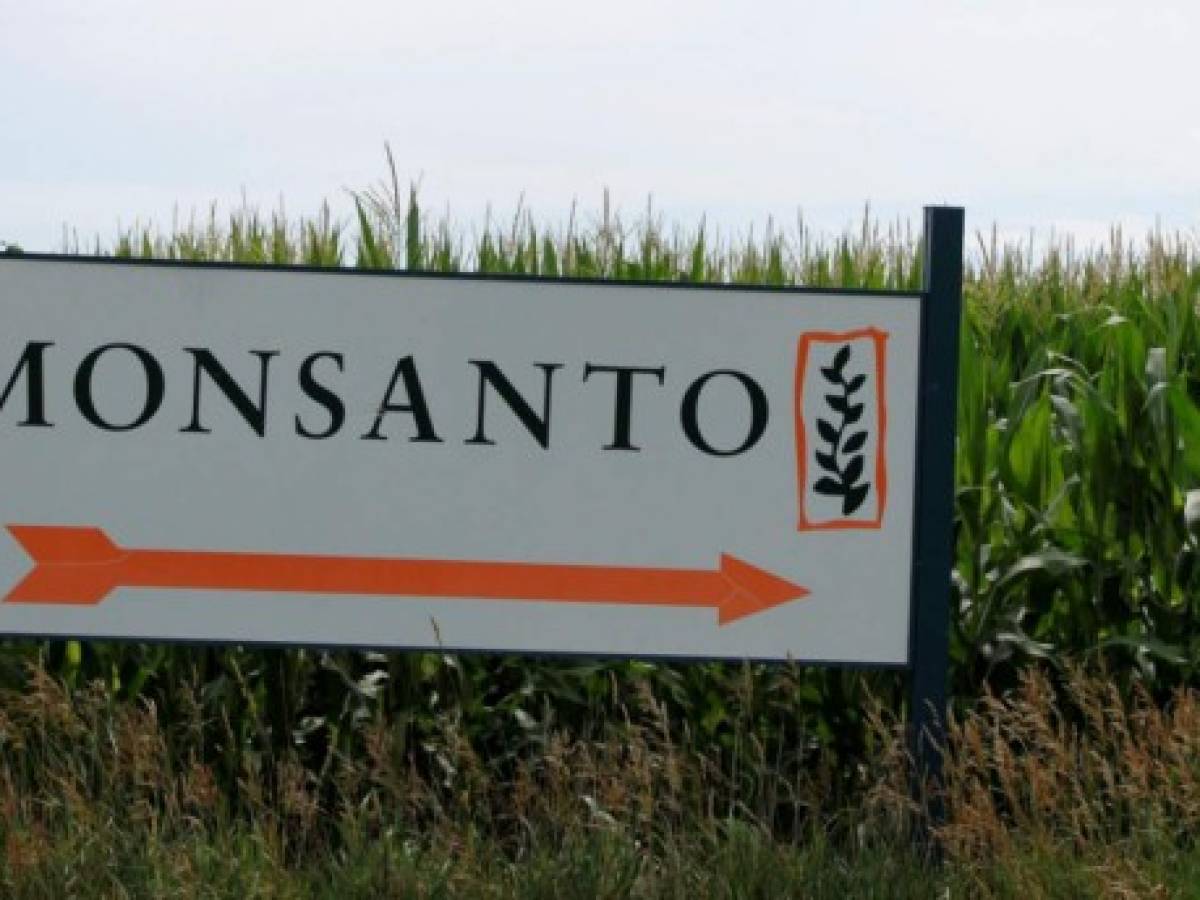 Monsanto se declara culpable de usar pesticida prohibido en cultivo