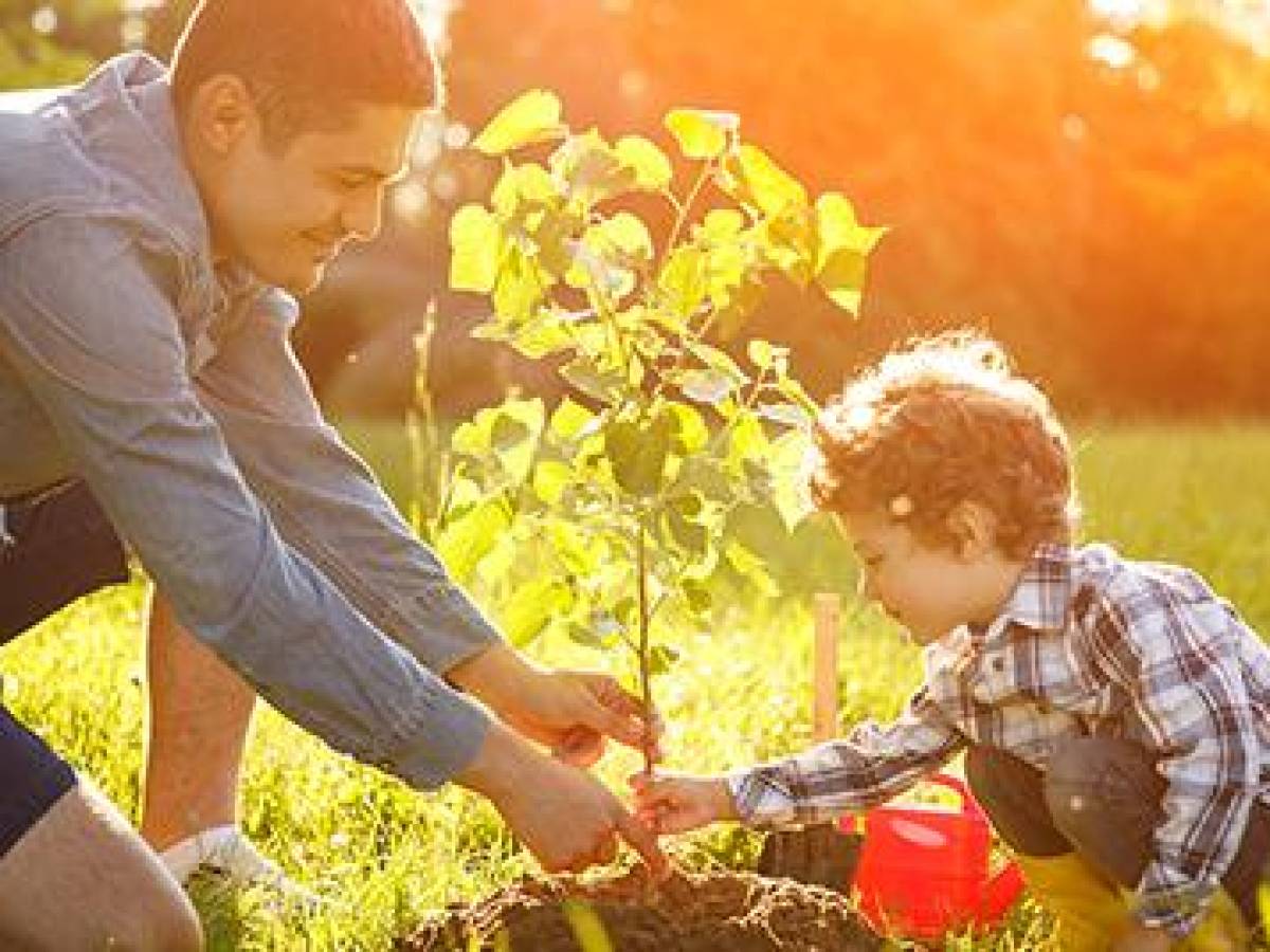 7 prácticas para cuidar del planeta en el Día Mundial de la Conservación de la Naturaleza