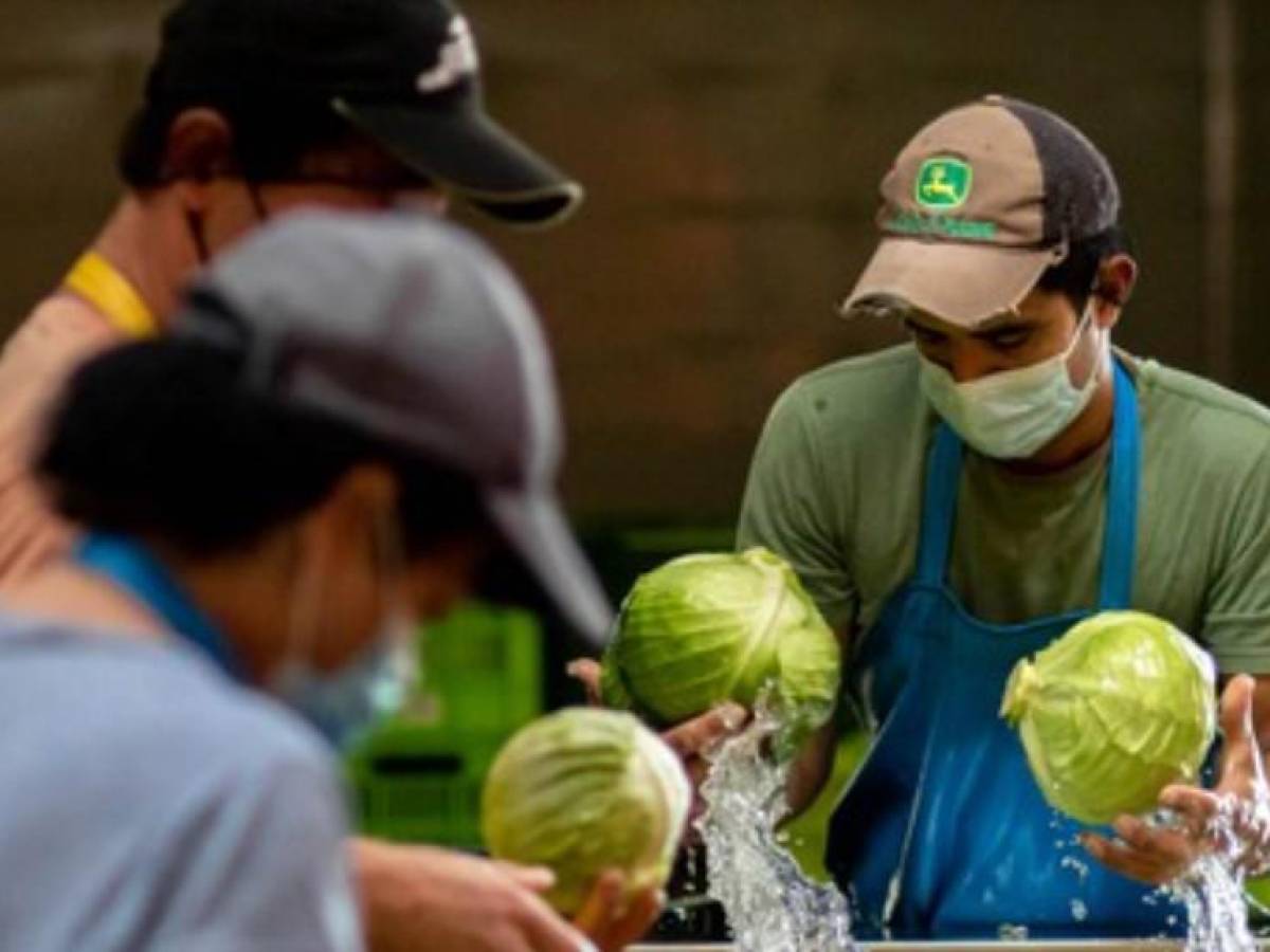 Walmart fortalece y aumenta su impacto positivo en Centroamérica