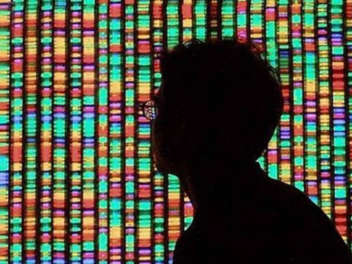 Google impulsa investigación sobre genomas