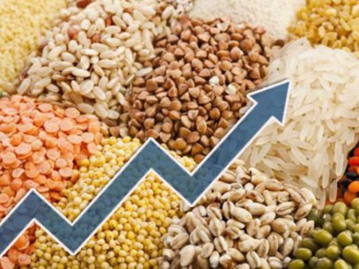 CEO de Cargill dice que los precios mundiales de los alimentos se mantendrán altos