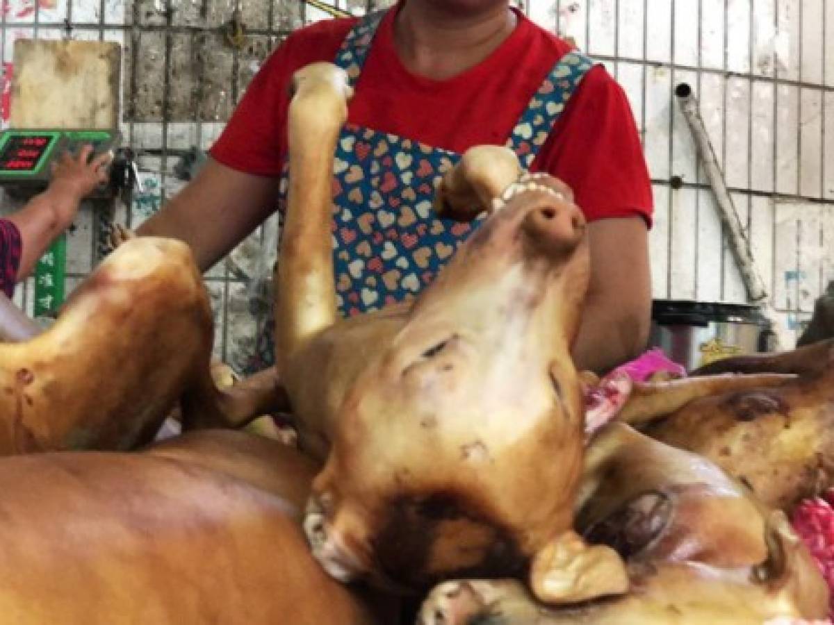 Estofado de perro en el festival chino de carne canina