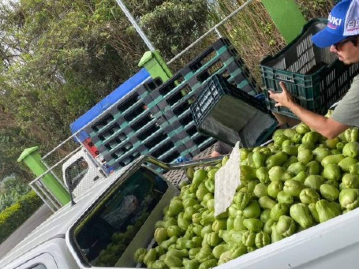 Costa Rica: Cosechas de productores nacionales dispuestas para afectados por pandemia