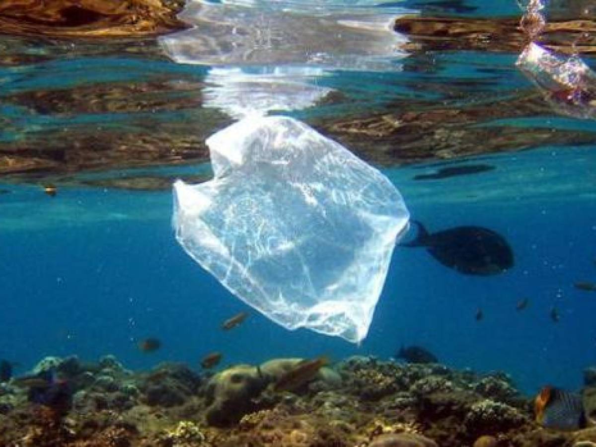 En el 2050 habrá más plástico que seres vivos en los océanos