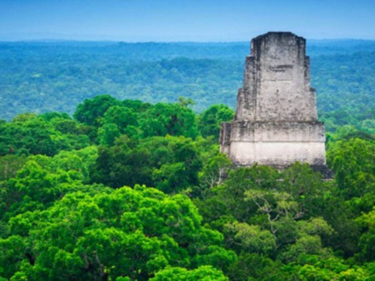 Biósfera maya: la exitosa historia de conservación de la selva tropical en Guatemala y por qué ahora está bajo amenaza