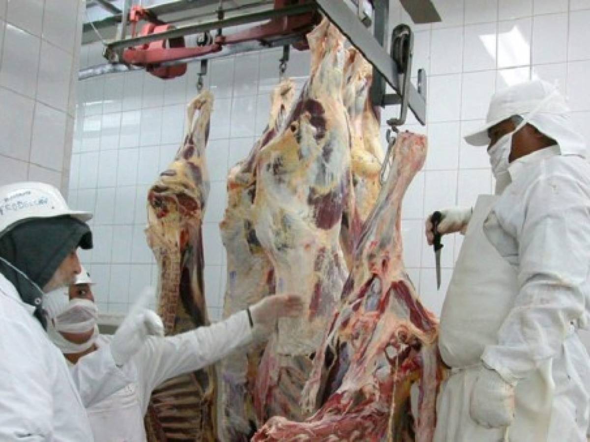 Nicaragua todavía no aprovecha cuota de carne del AdA