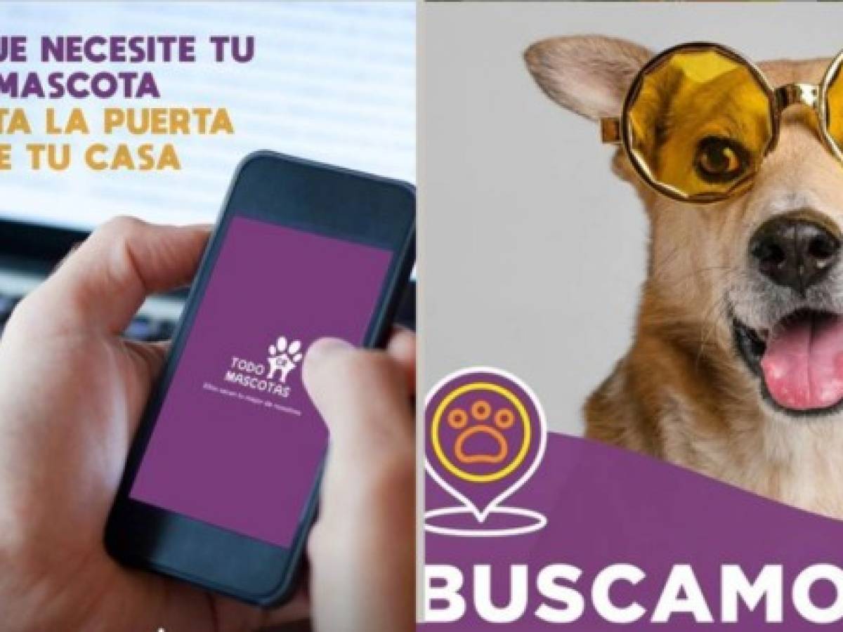 Todo Mascotas CR, un ejemplo de constante transformación digital