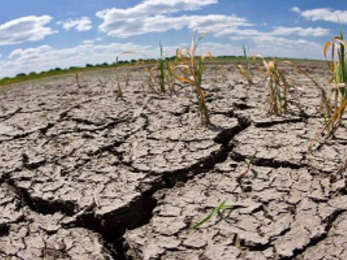El Salvador sufriría su quinto año de sequía en 2016