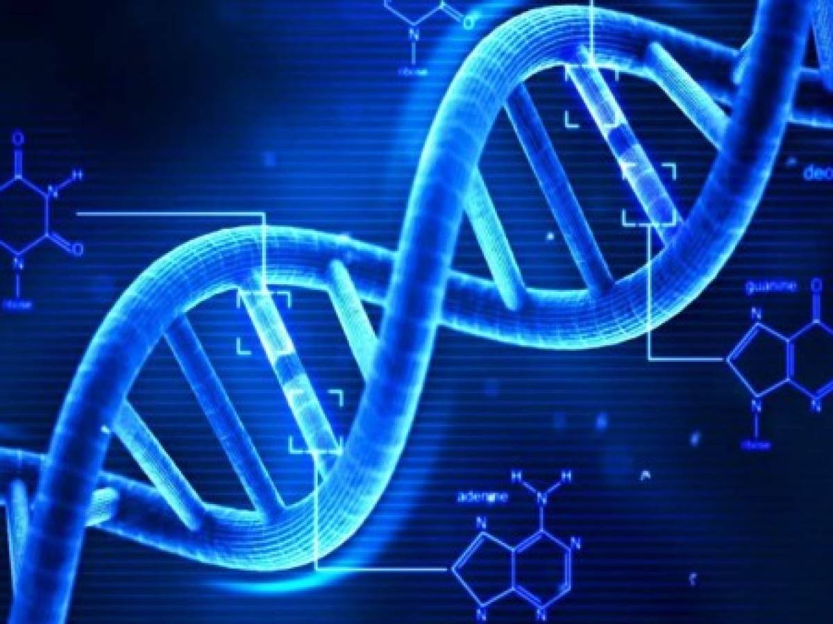 Nobel de Química premia trabajo sobre reparación del ADN
