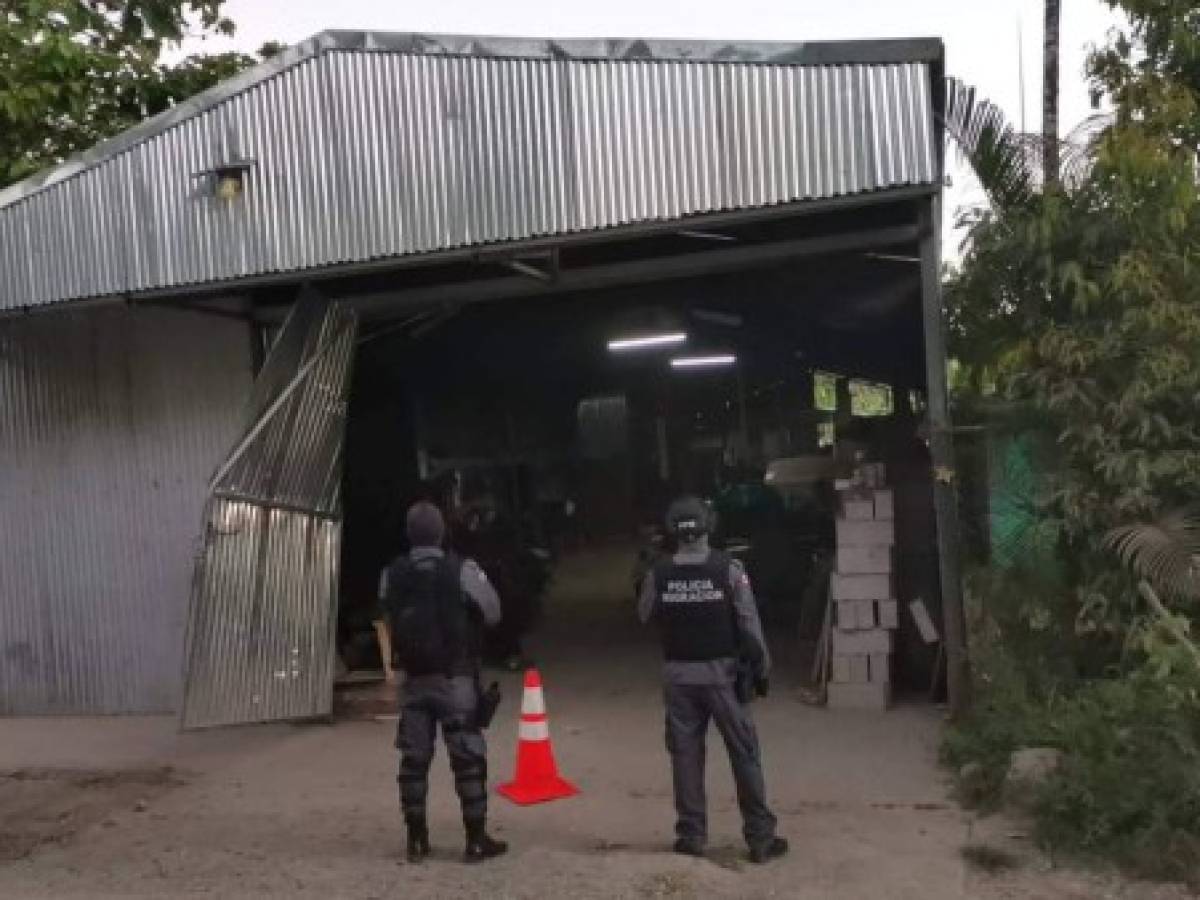 Costa Rica y Panamá desarticulan organización de explotación sexual infantil