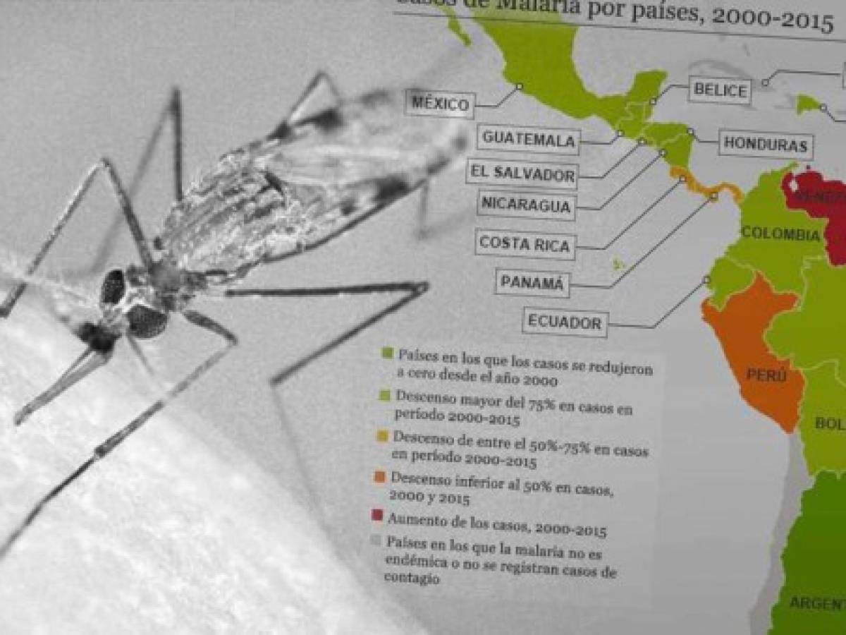 OMS recomienda el uso de la primera vacuna contra la malaria para niños