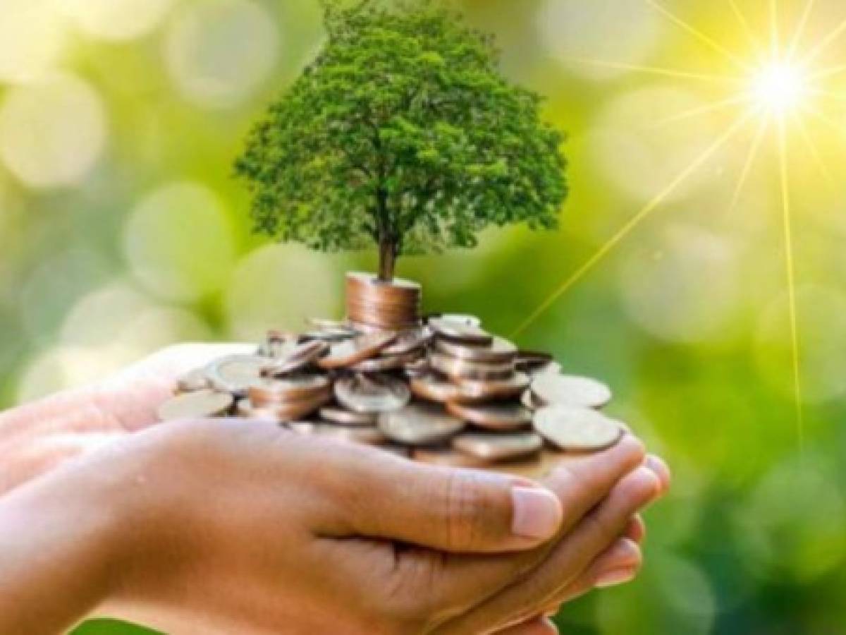Costa Rica: Fundación CRUSA invertirá en bonos sostenibles para impulsar la reactivación de pymes