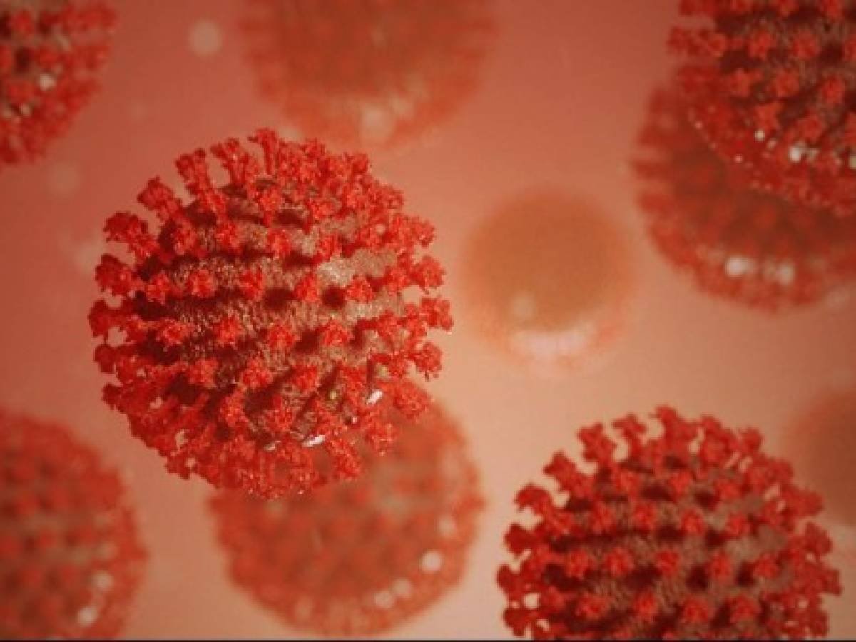 EEUU desarrolla cepa de coronavirus para posibles pruebas con humanos