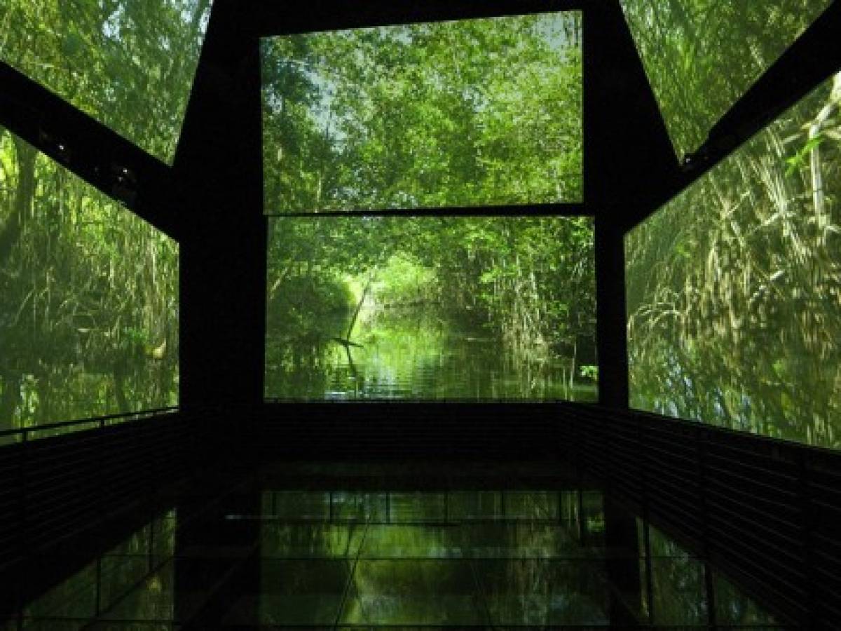 La impresionante arquitectura del primer biomuseo de América Latina, creado por Frank Gehry