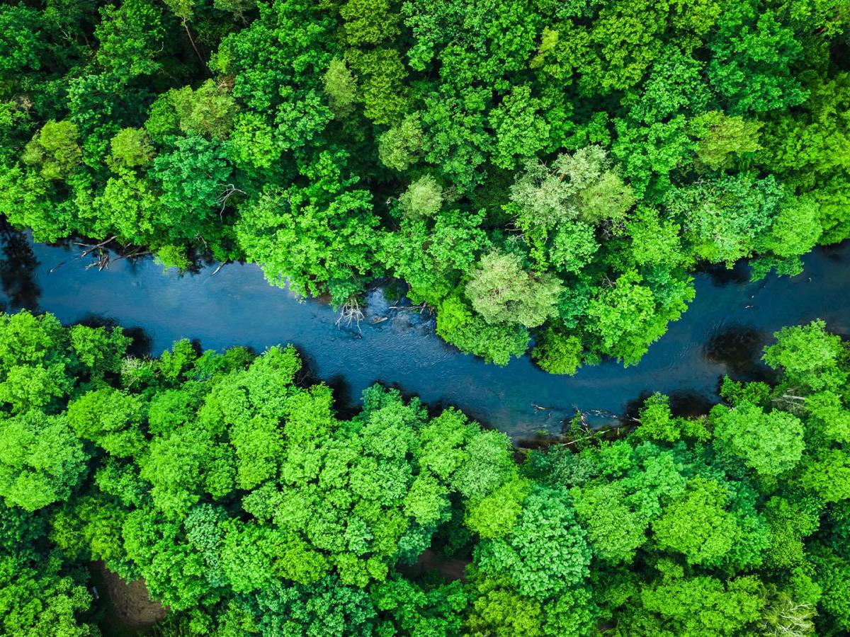 El Salvador explora el potencial de emisiones de Bonos Verdes