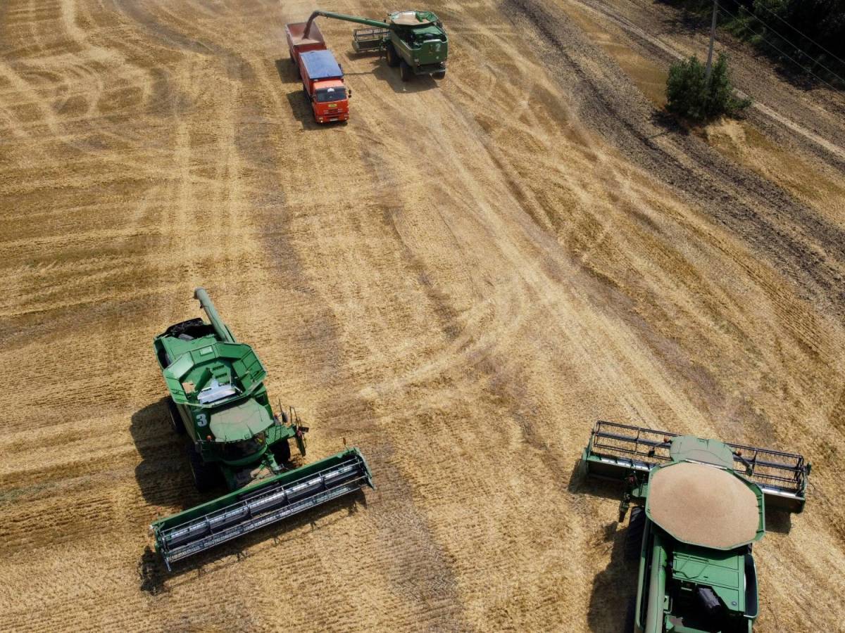 Rusia controla el 22% de las tierras de cultivo de Ucrania