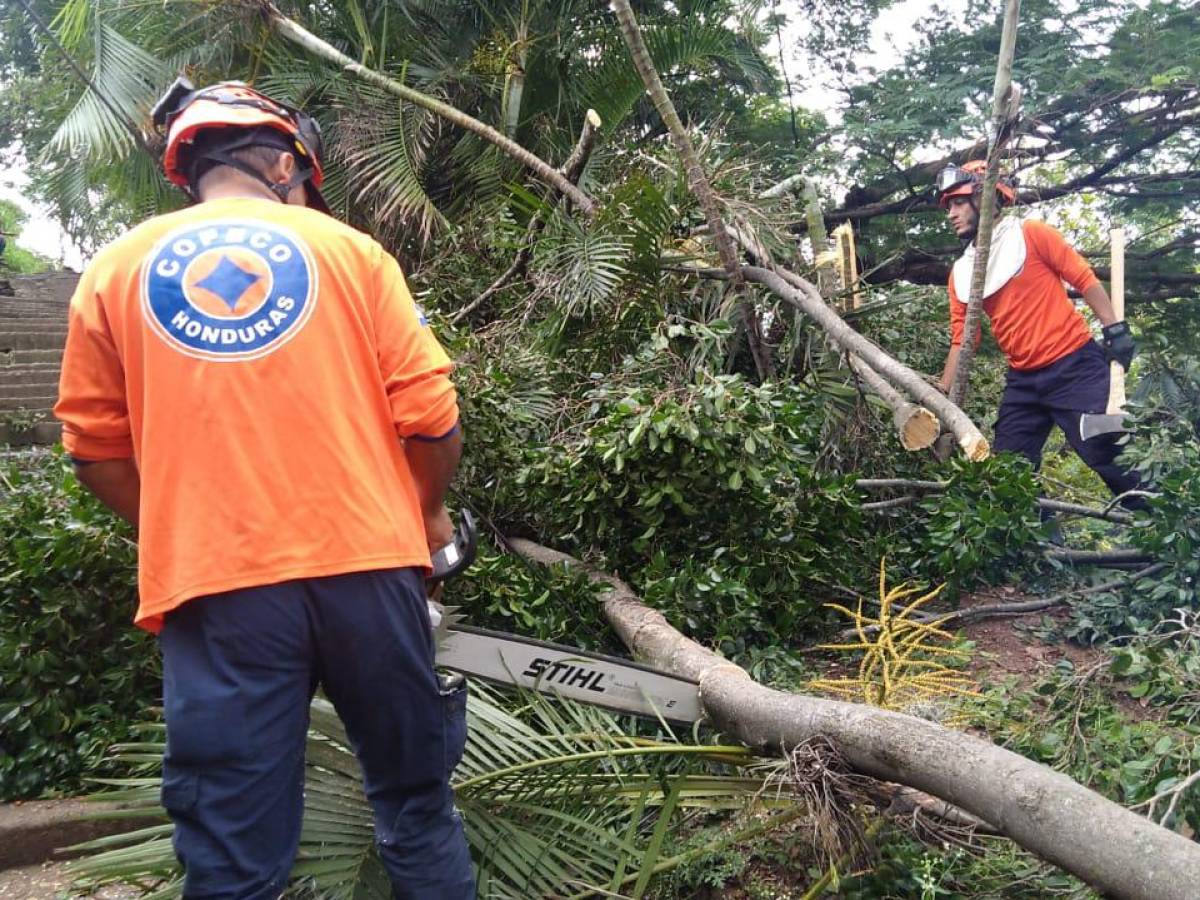 Emiten alerta verde en 13 departamentos de Honduras por paso de onda tropical