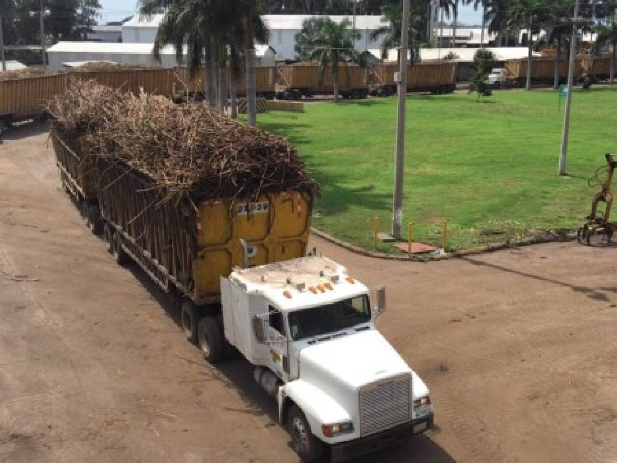 Guatemala: Comienzo de temporada de Zafra impulsa la economía