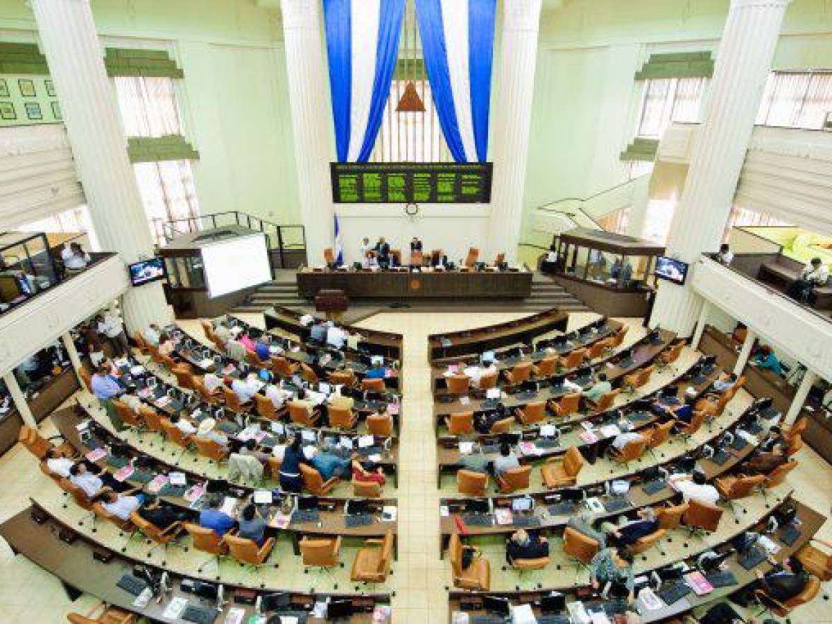 Parlamento de Nicaragua ilegaliza Academia de la Lengua y otras 82 oenegés