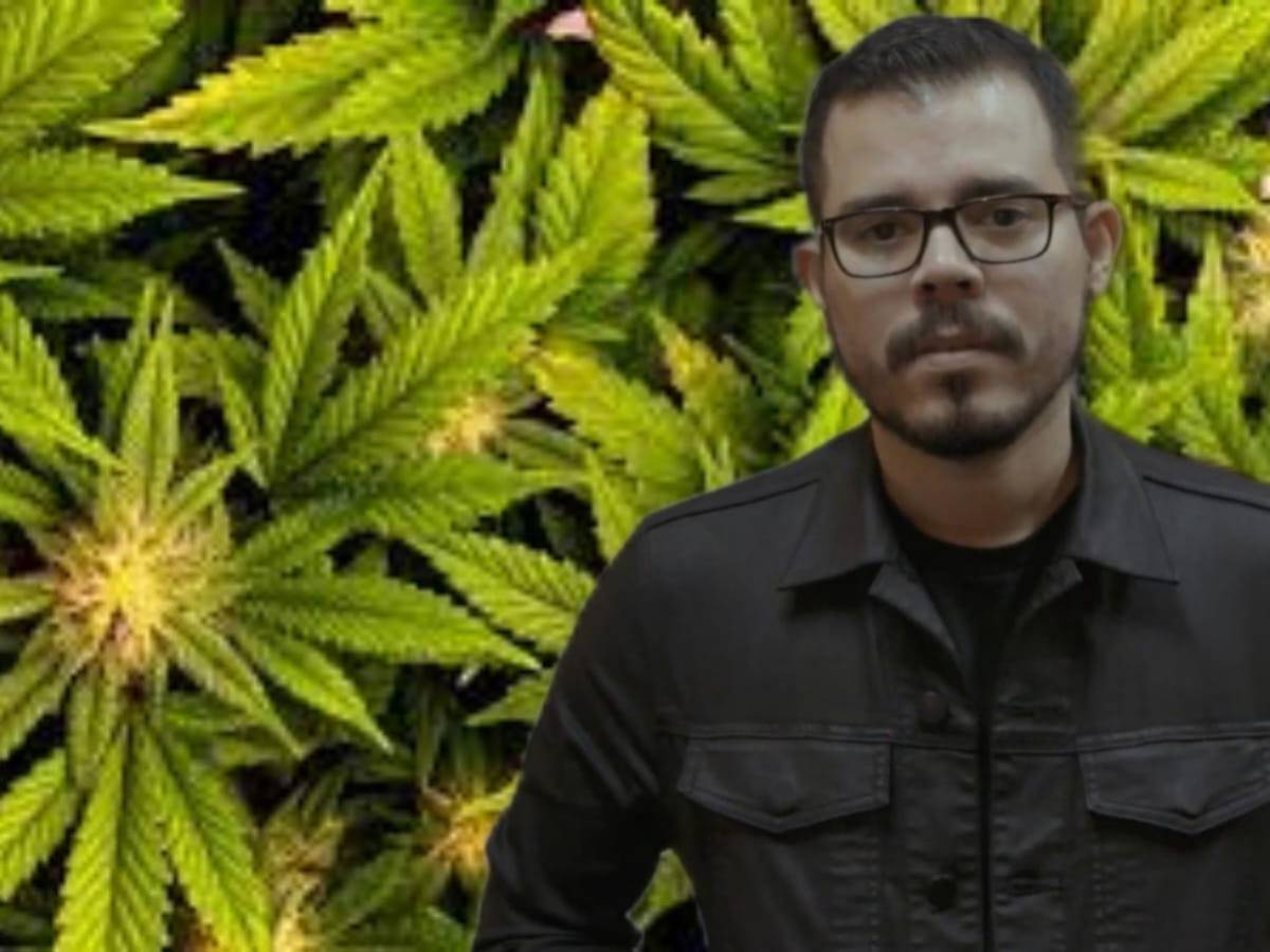 Nicaragua: Hijo del presidente Daniel Ortega propone legalizar la marihuana