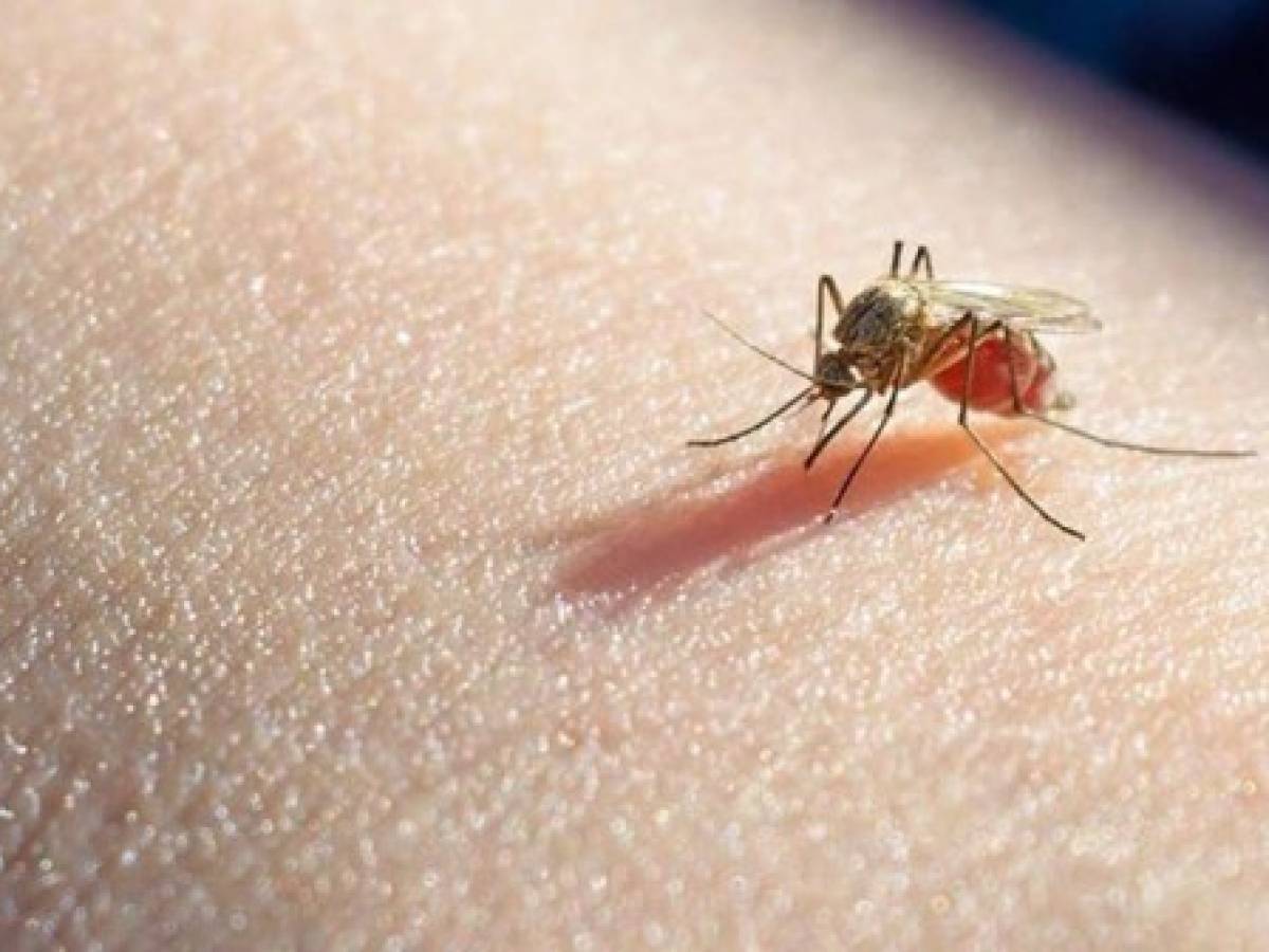 OPS llama a Nicaragua a atender 'problema severo de malaria' agravado por covid-19