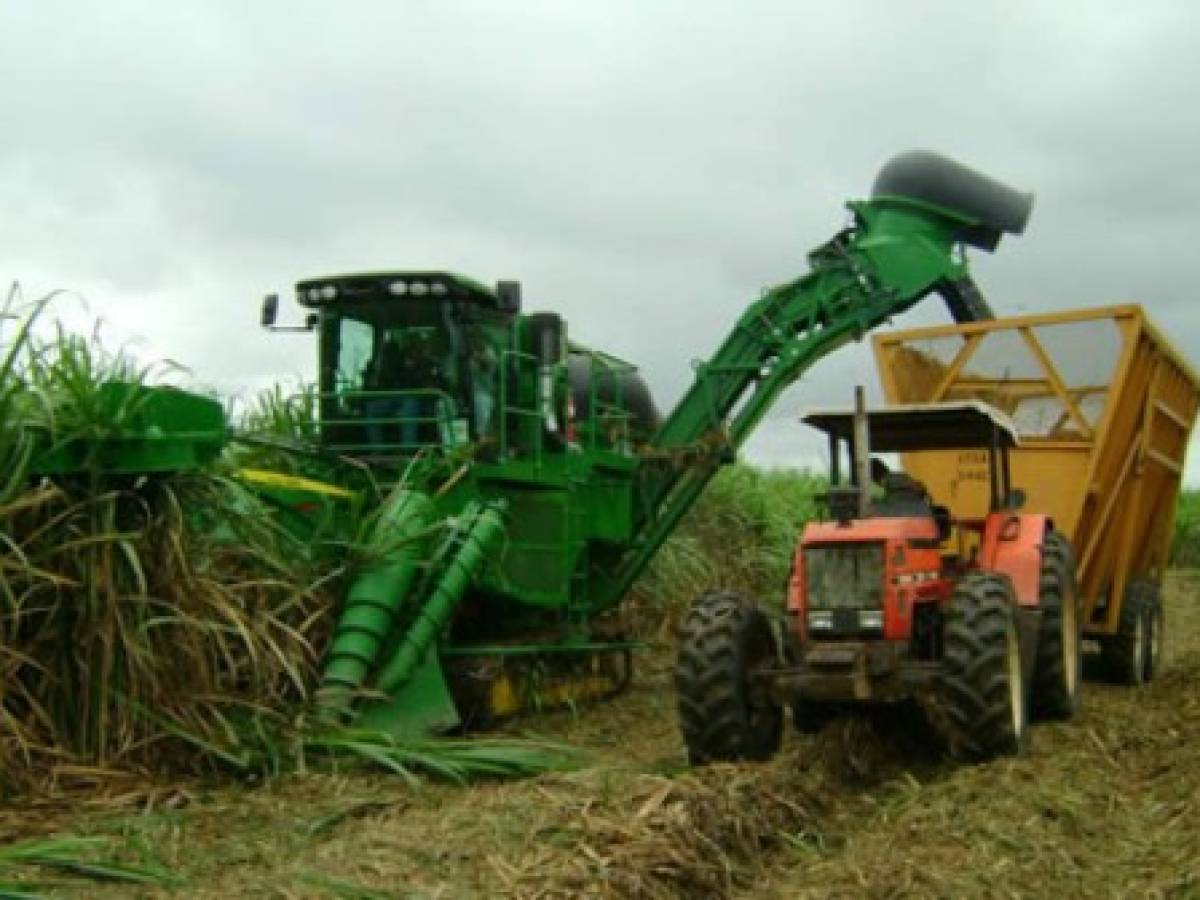 EEUU evalúa suspender la cuota de azúcar a Nicaragua y asignarla a otro país  