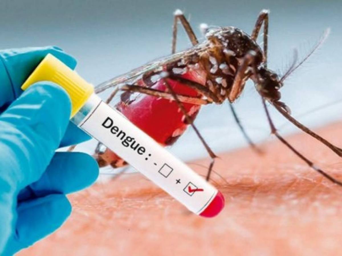 Crean una prueba ultrasensible para el virus del dengue