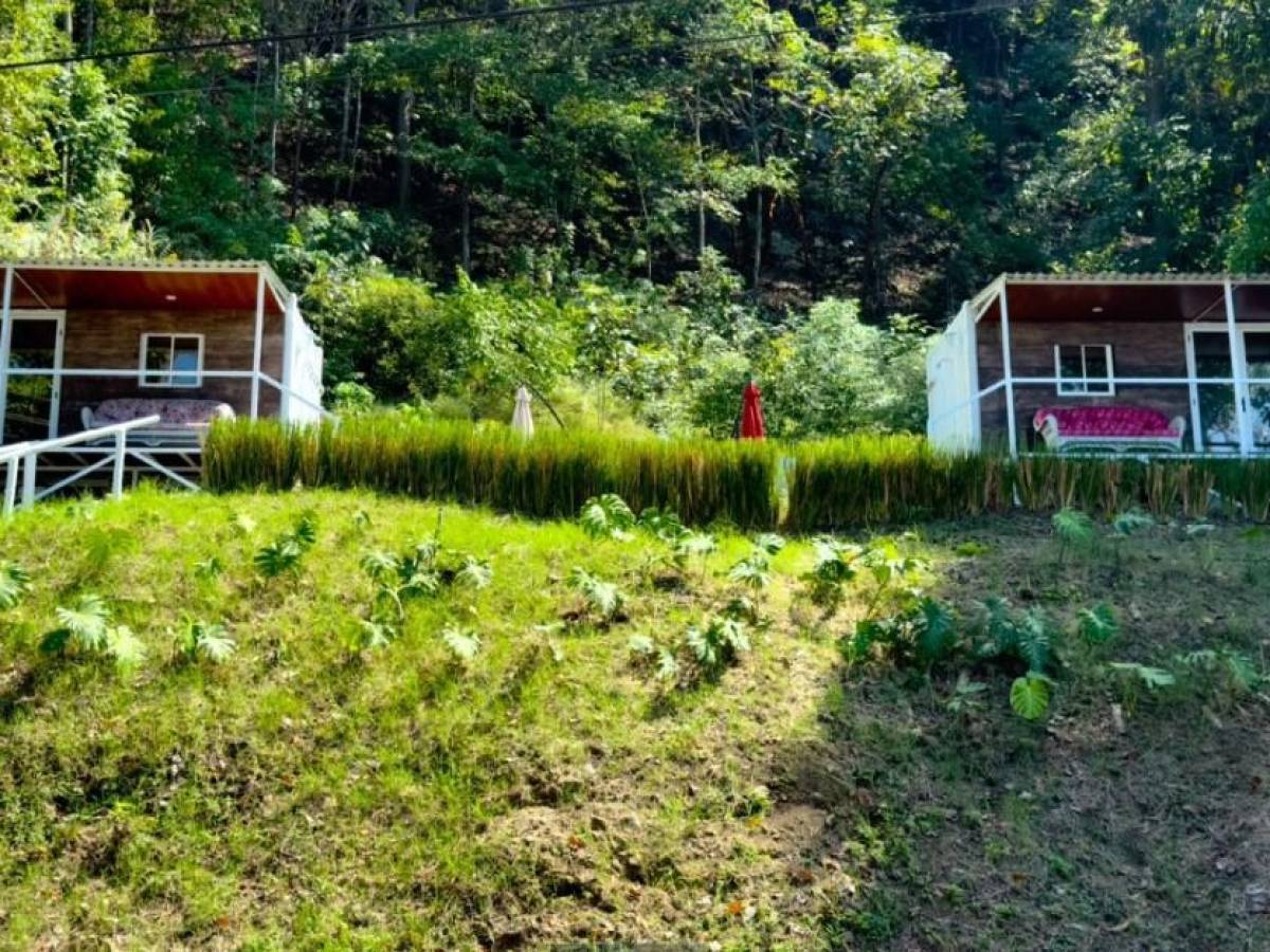 Hospedaje creado con contenedores para nómadas digitales en Costa Rica
