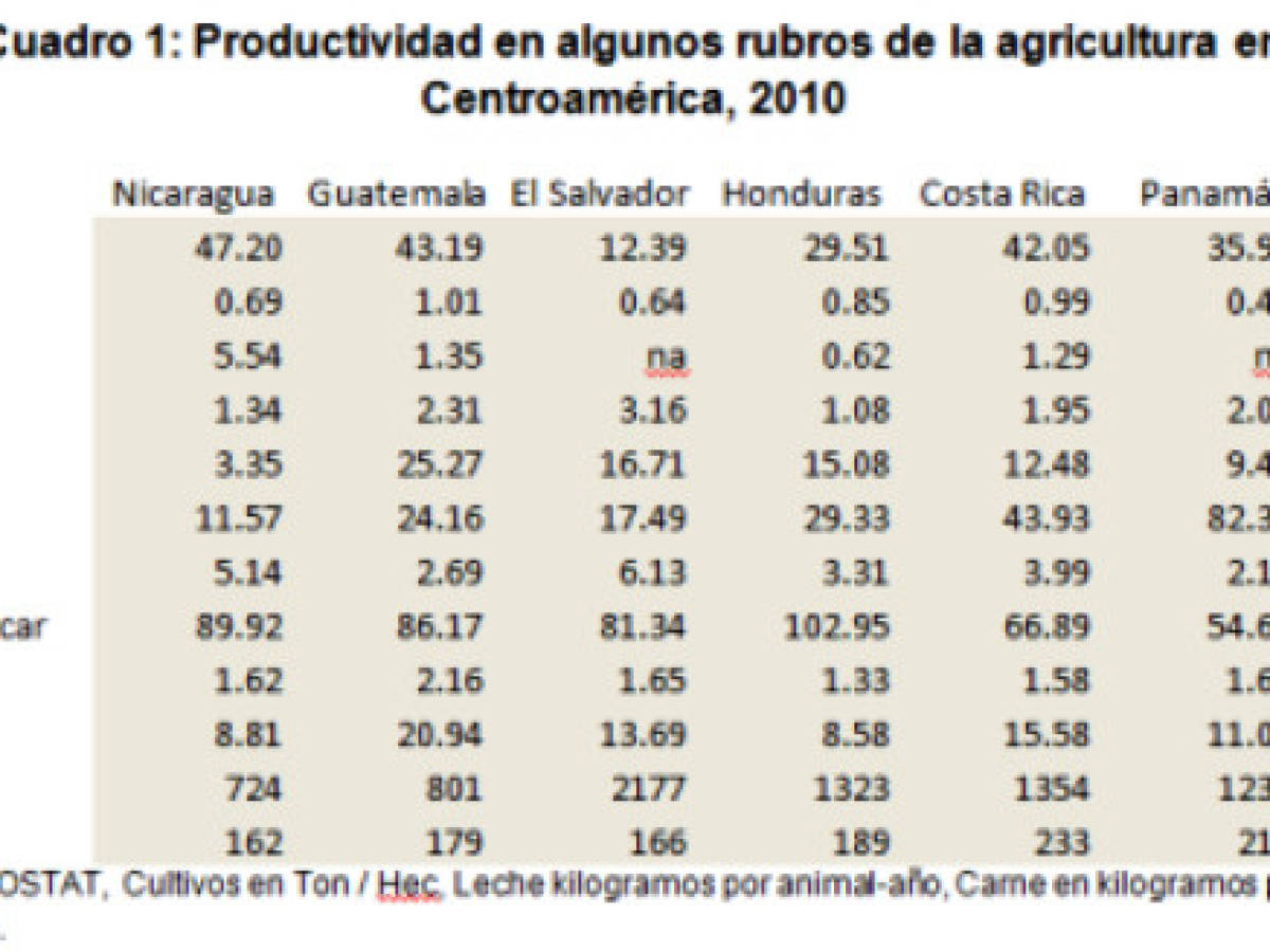 Estrategia de competitividad para la agricultura en Nicaragua