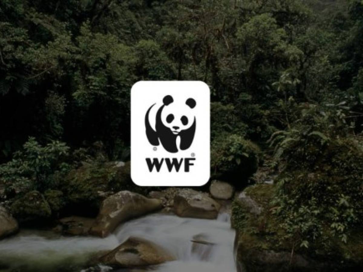 El mundo perdió casi 70% de la fauna salvaje desde 1970, según WWF